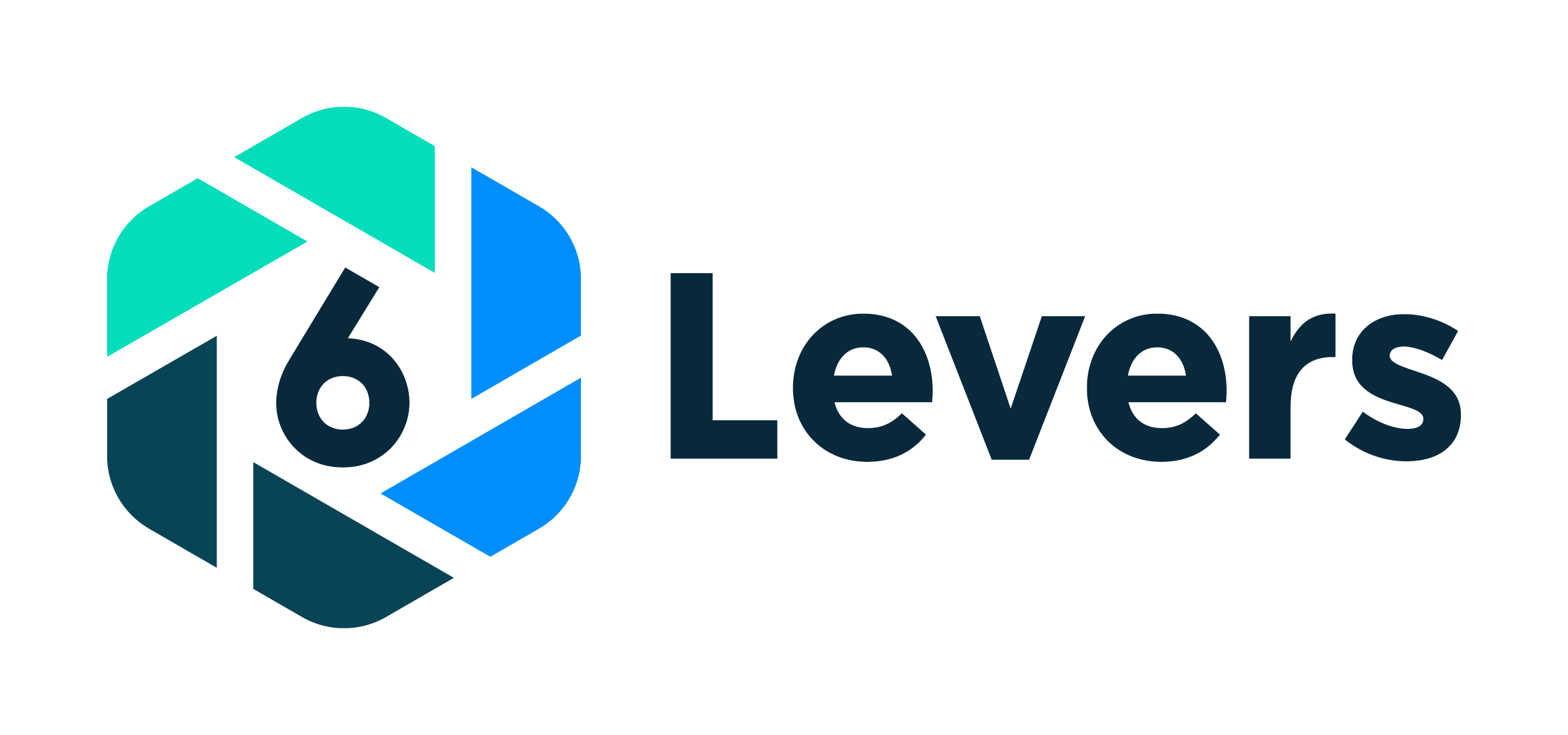 6_Levers_Horizontal_Logo