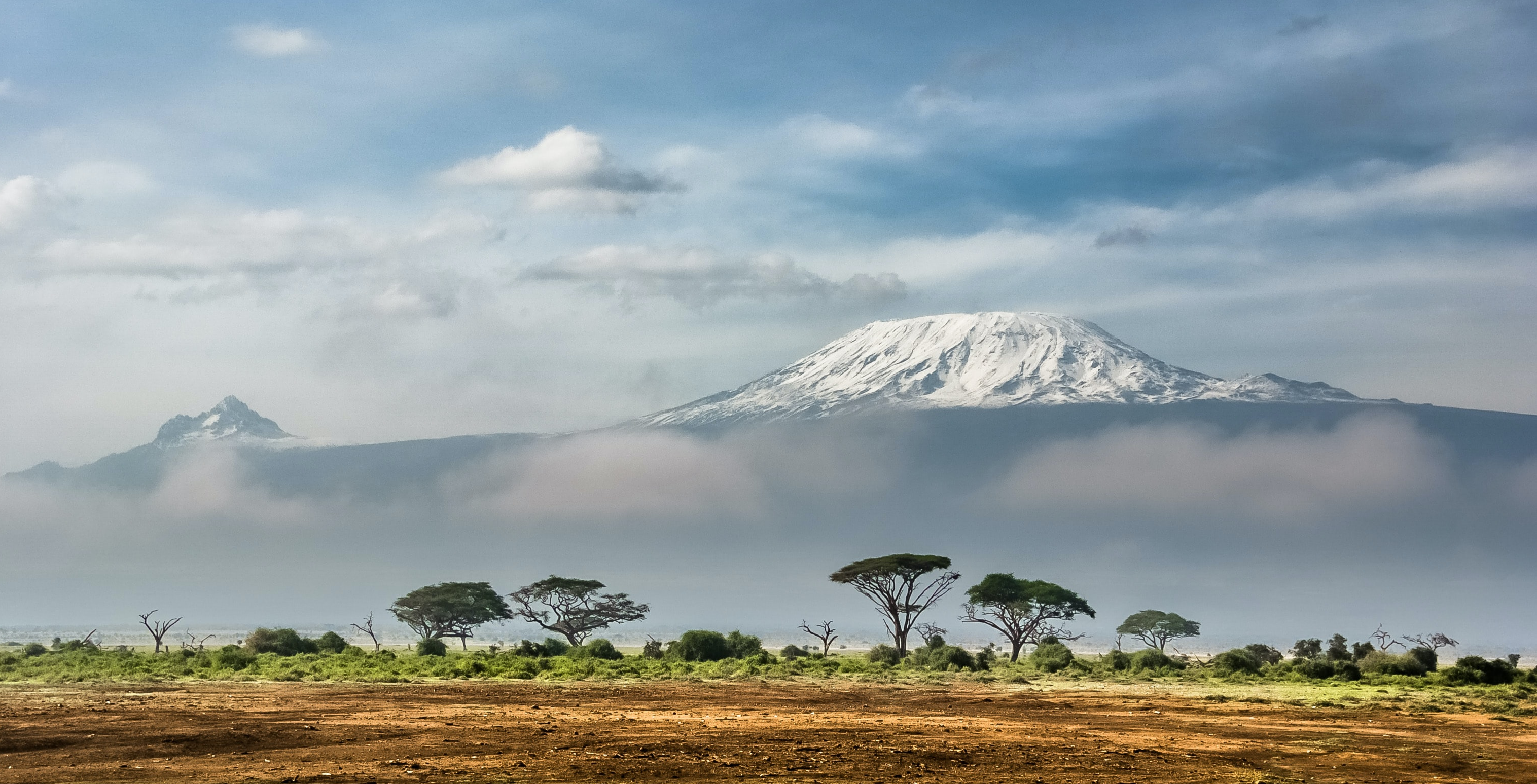 KACI STUDY: Thrive on Kilimanjaro Campaign